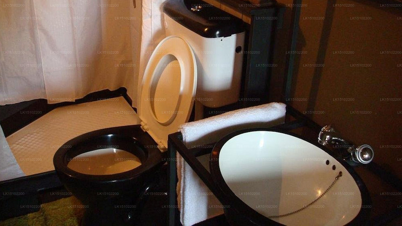 Mahoora - Sinharaja, Ratnapura