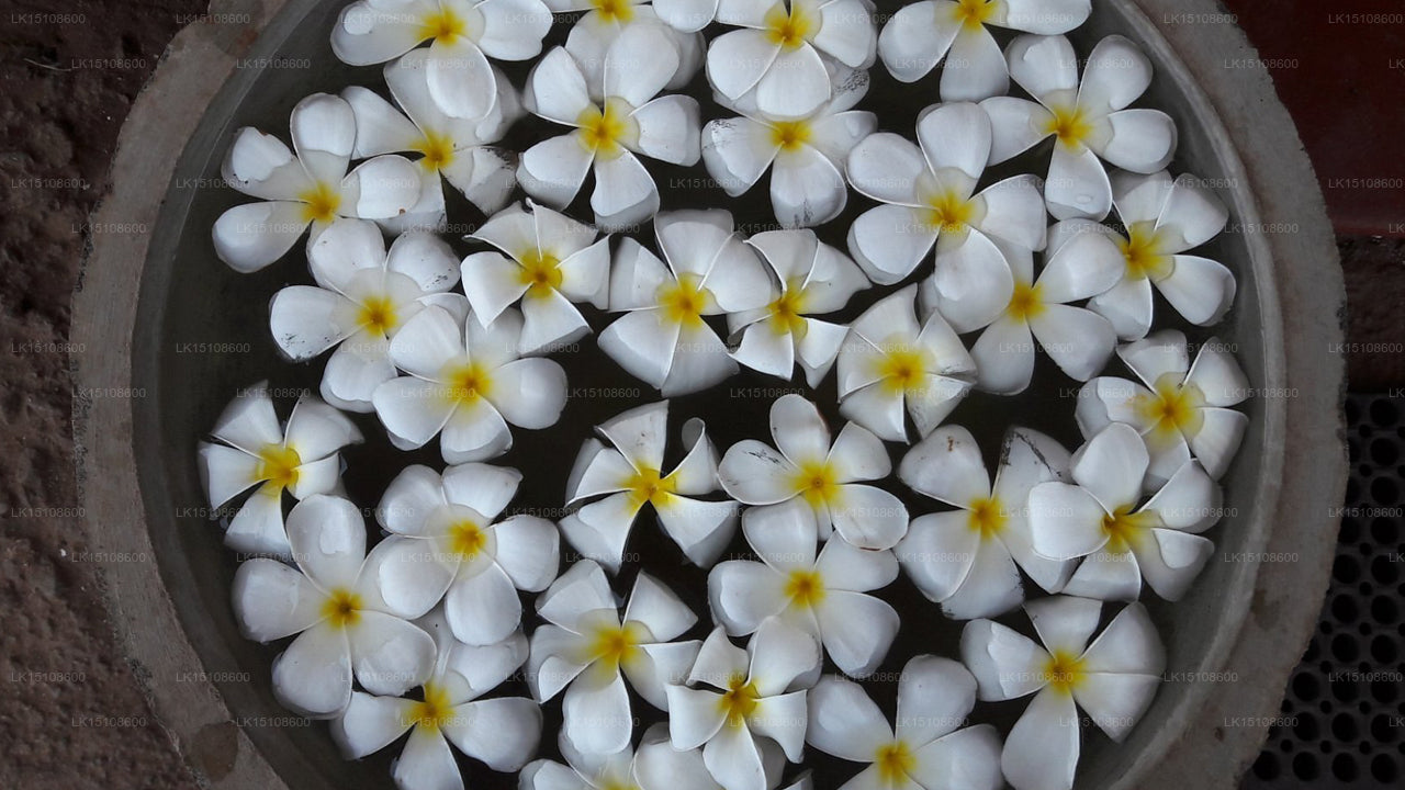 Chilaw Rest House, Chilaw