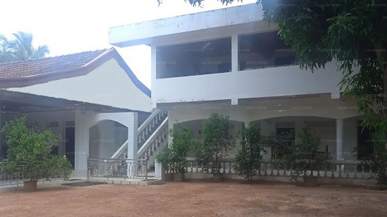 Ranketha Guest House and Restaurant, Puttalam