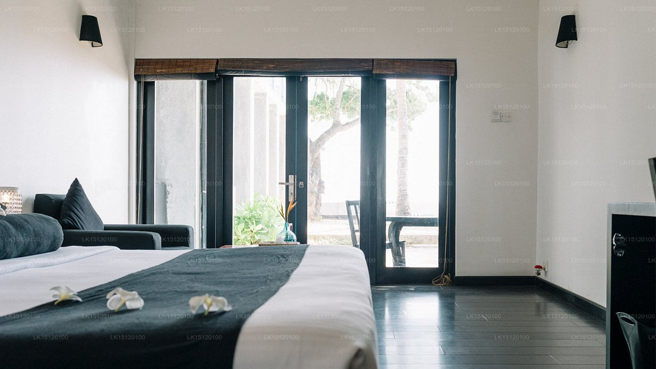 Cantaloupe Aqua, Thalpe