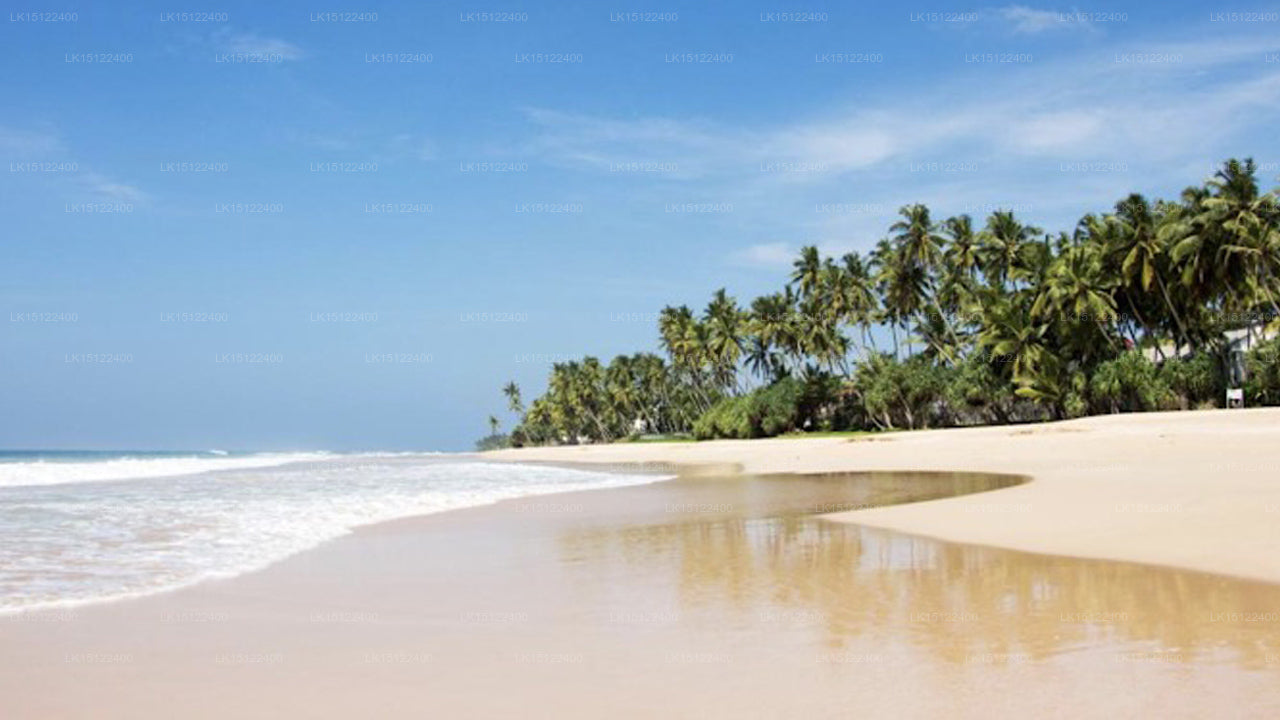 Villa Saldana, Habaraduwa