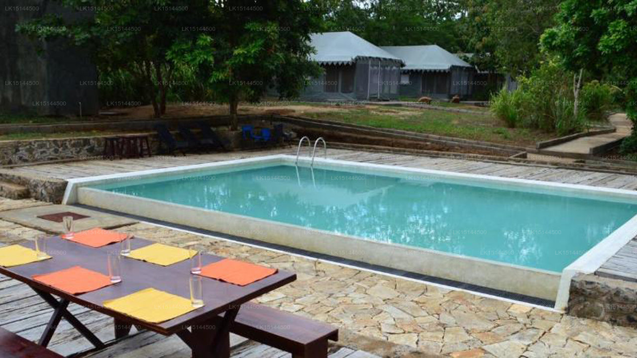 Wild Elephas Lodge,  Udawalawe