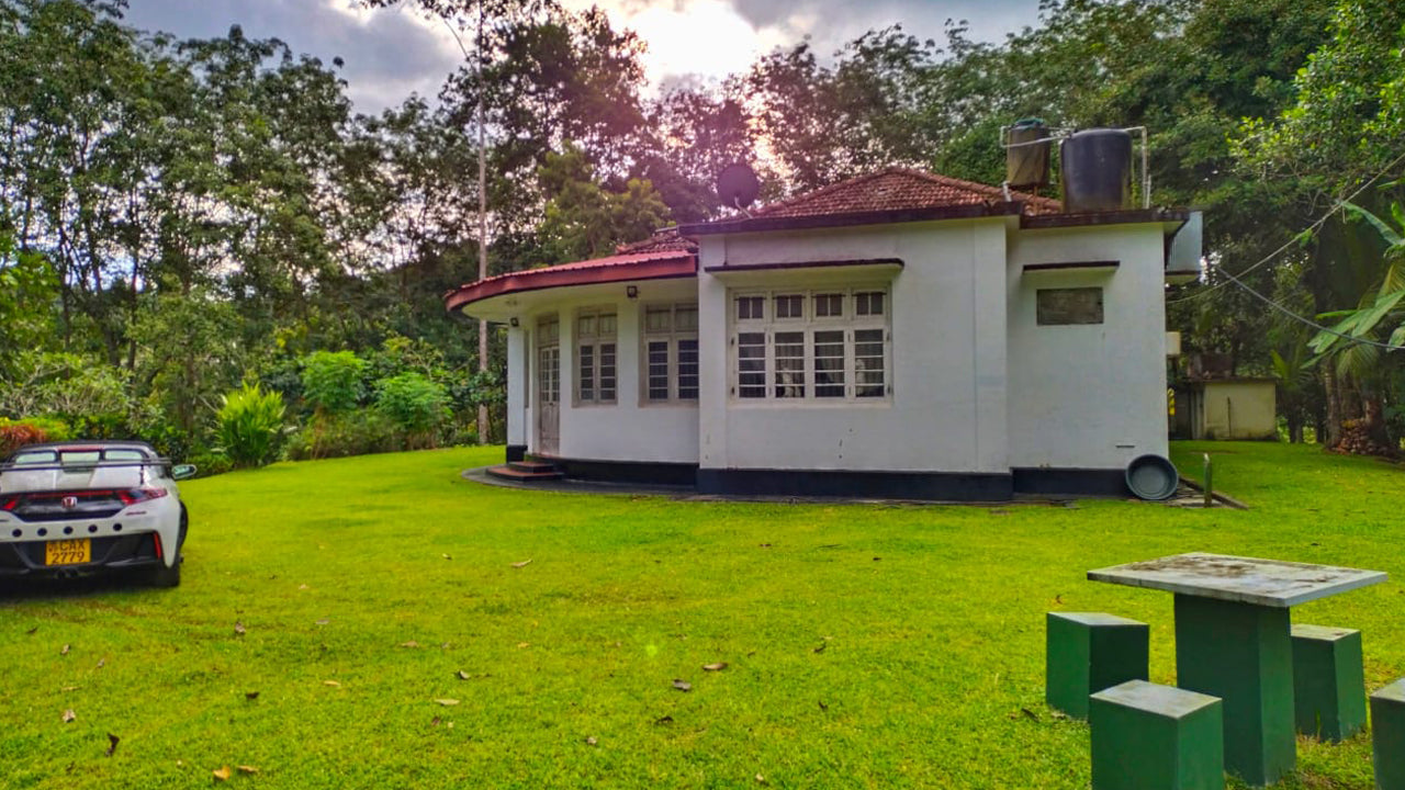 Eco Jungle Hideout, Matara