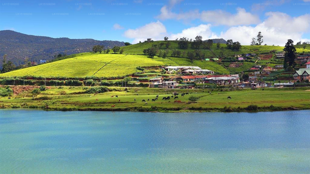 Splash Nuwaraeliya, Nuwara Eliya