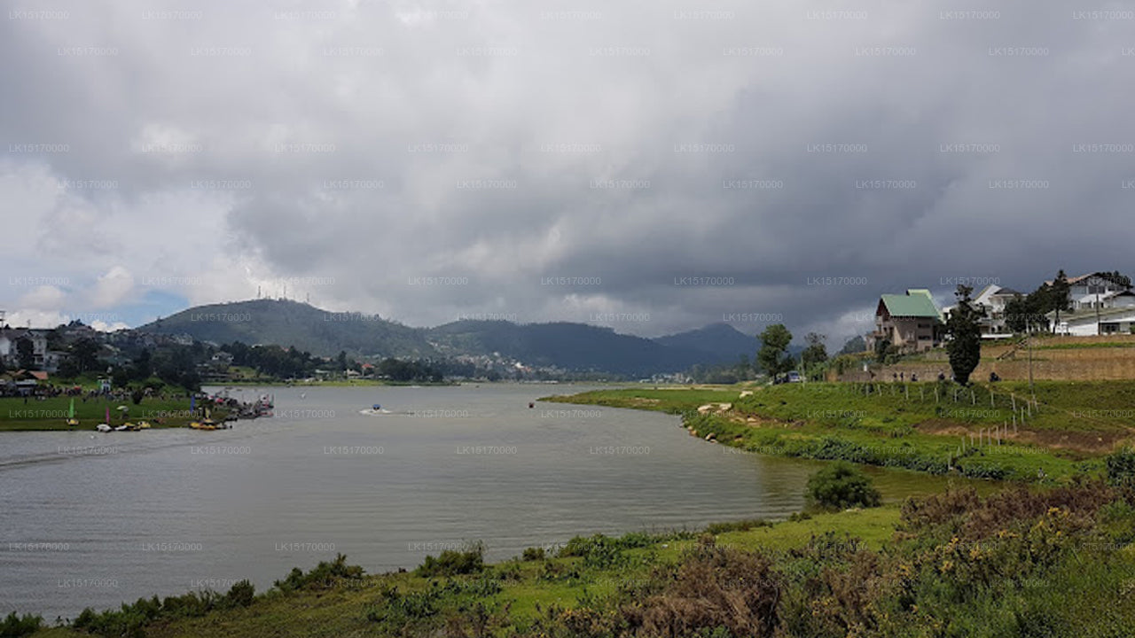 Taprospa Tymawr Villa, Nuwara Eliya