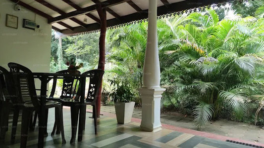 Danara Homestay, Sigiriya