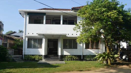 Morning Sun, Ambalangoda