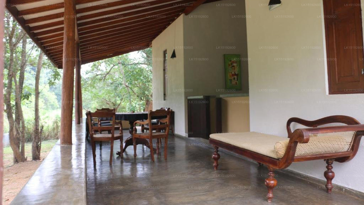 Wild Escape, Buttala