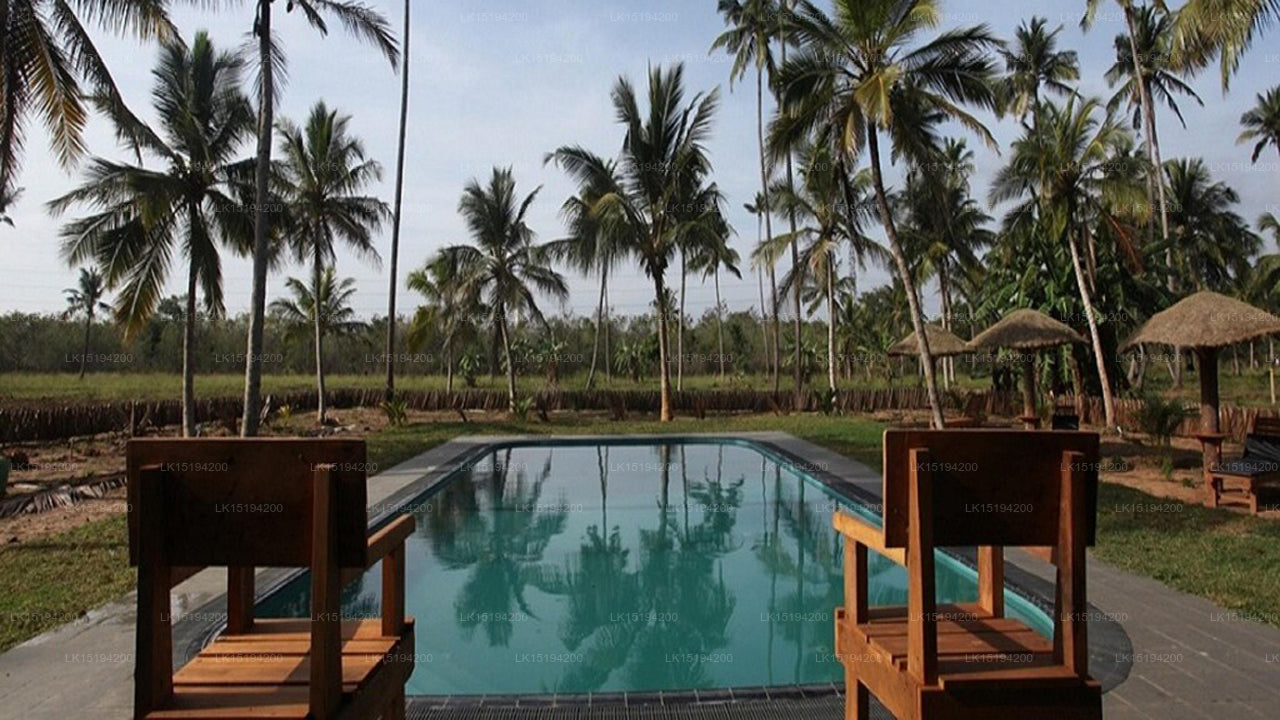 The Grove,  Puttalam