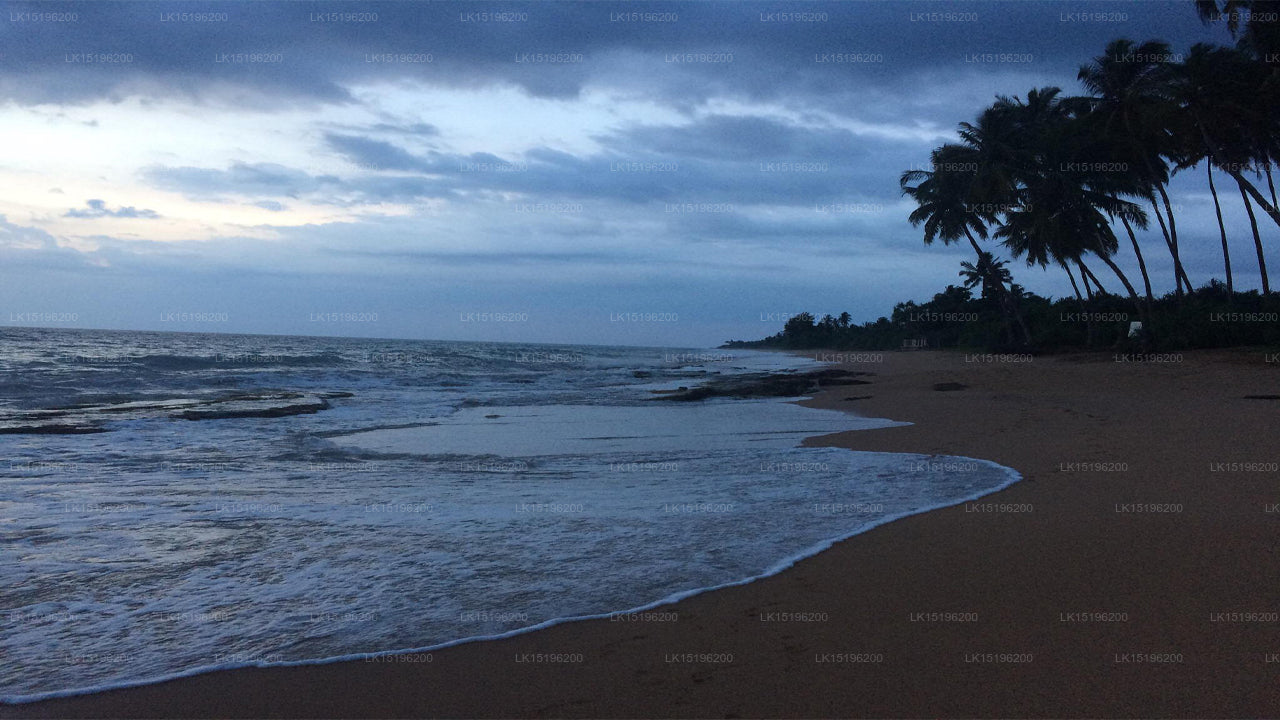 Hotel Garden Beach, Kosgoda