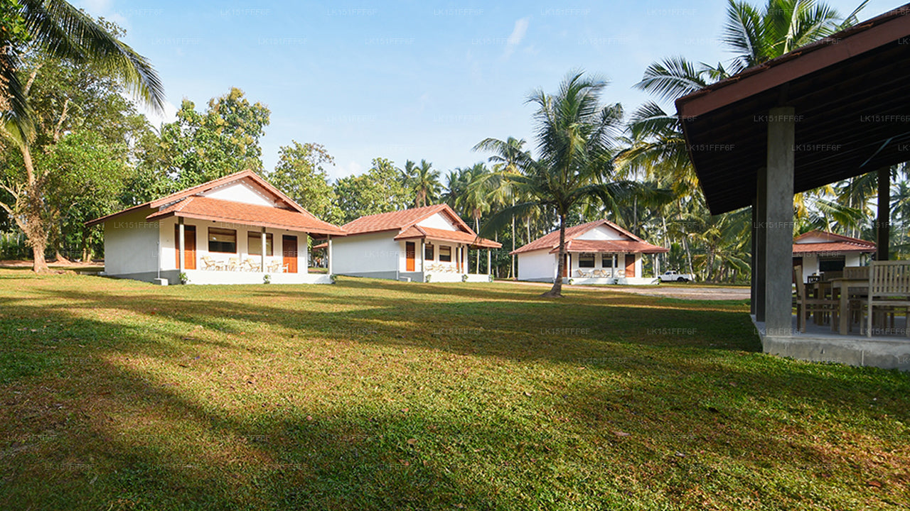 Ambarella Lodge - Katunayake