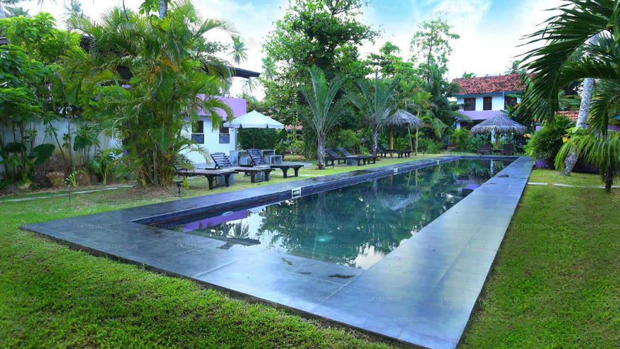 Turtle Eco Beach, Matara