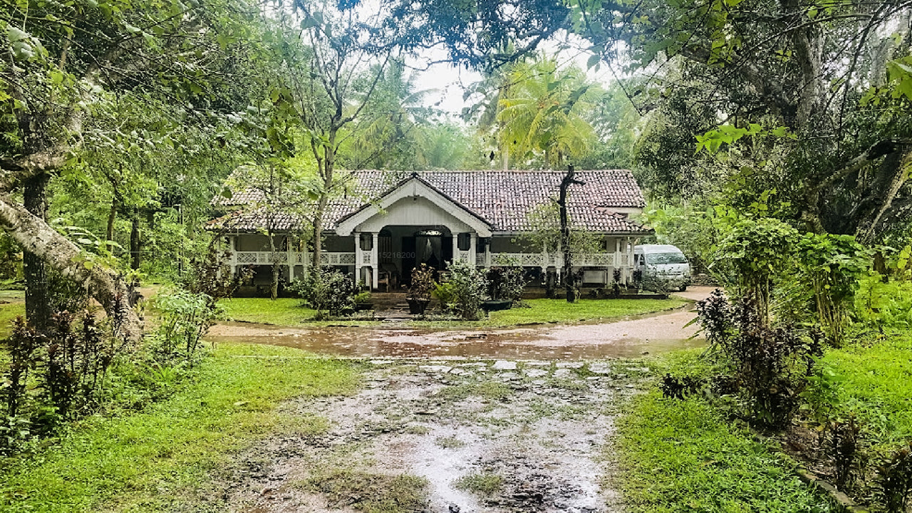 Cadjan sacred, Anuradhapura