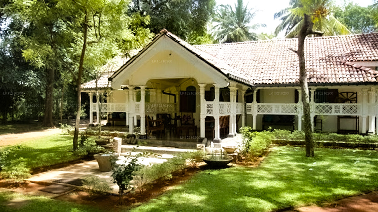 Cadjan sacred, Anuradhapura