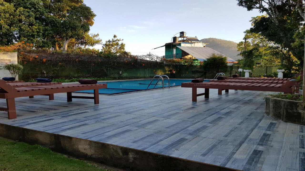 Forest Paradise, Ella