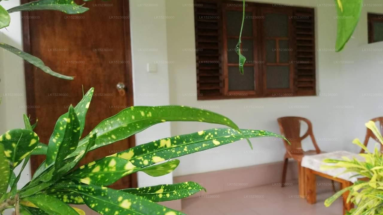 Palm Garden Guest House,  Polonnaruwa