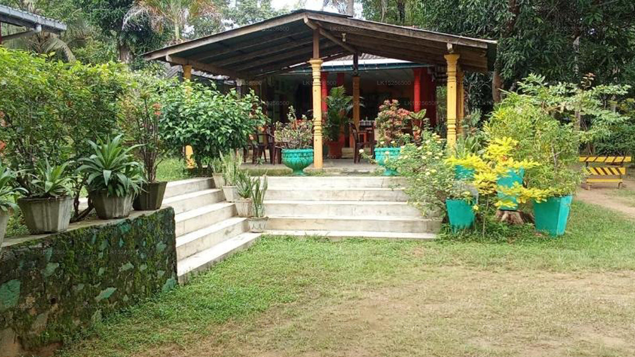 The Nest, Mahiyanganaya