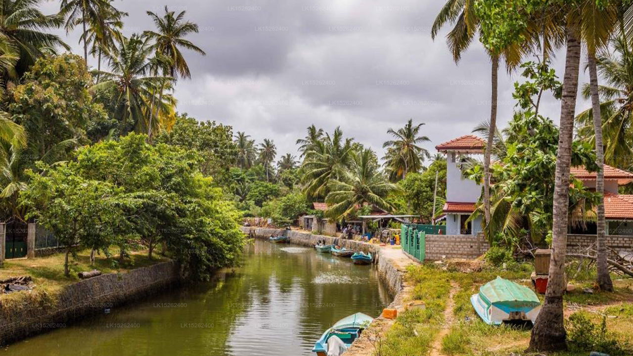 Negombo Travellers Inn, Negombo