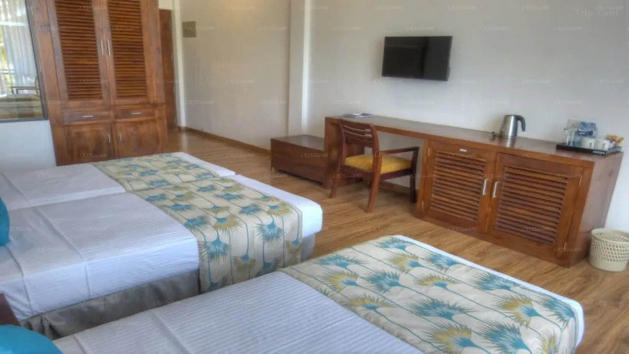 The Rain Tree, Tissamaharama