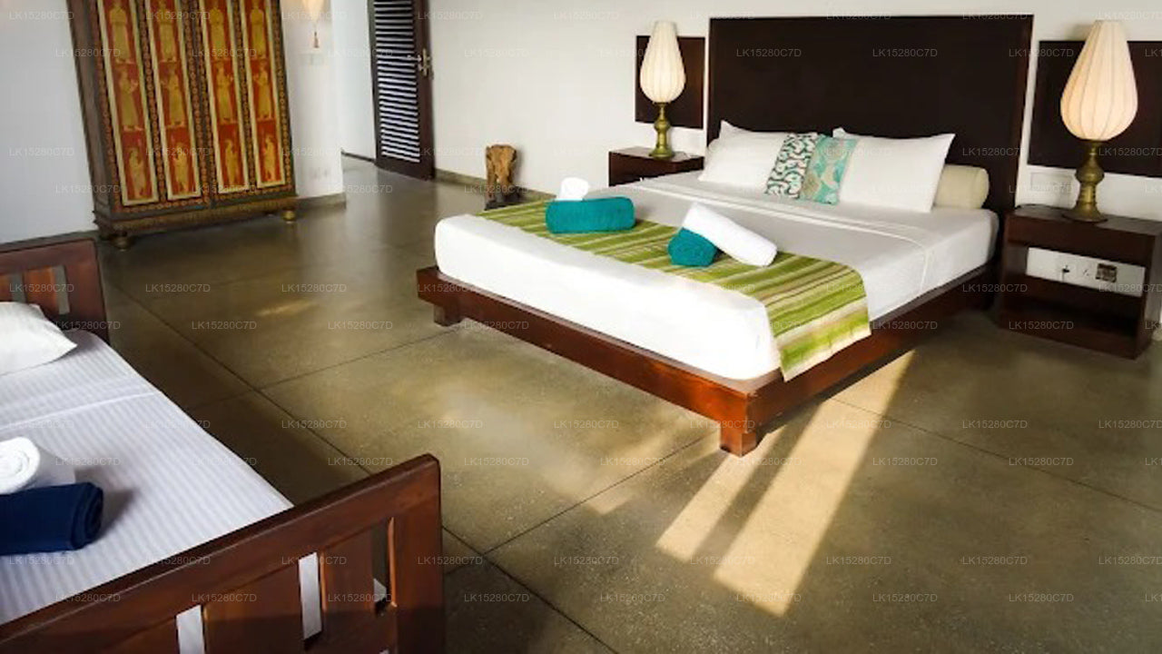 Little Tamarind, Tangalla