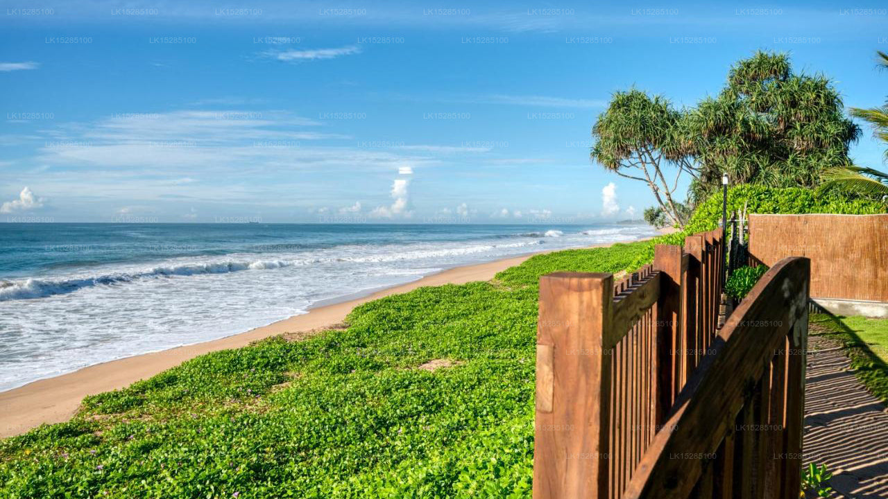 Ceu Ceylon, Kalametiya