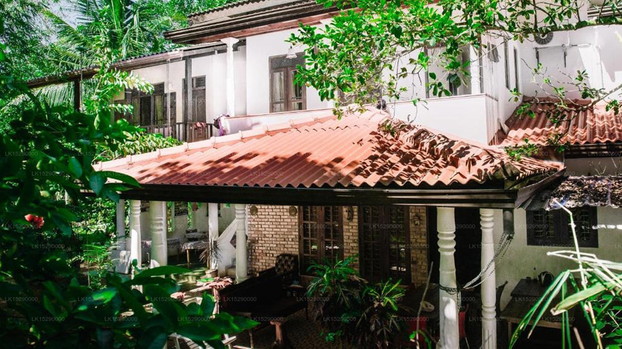 Kadolana Guest House, Mirissa