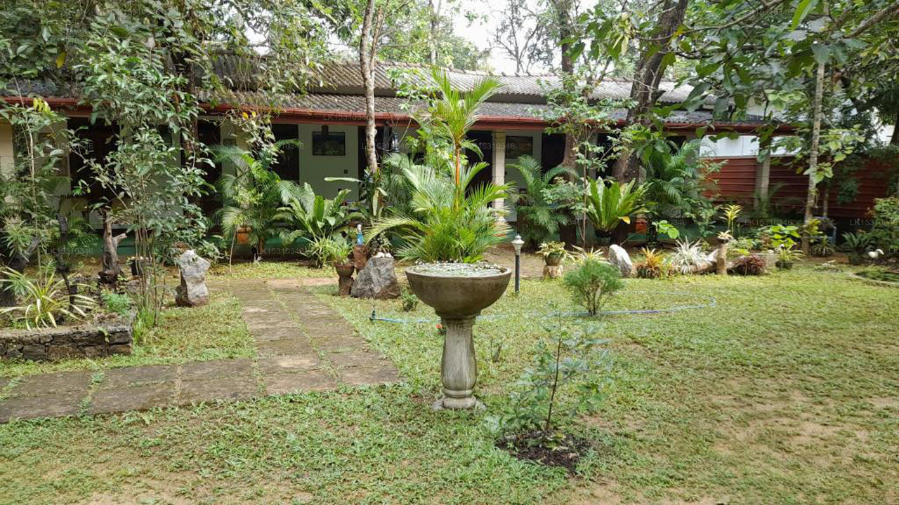Sigiri Jungle Villa, Sigiriya