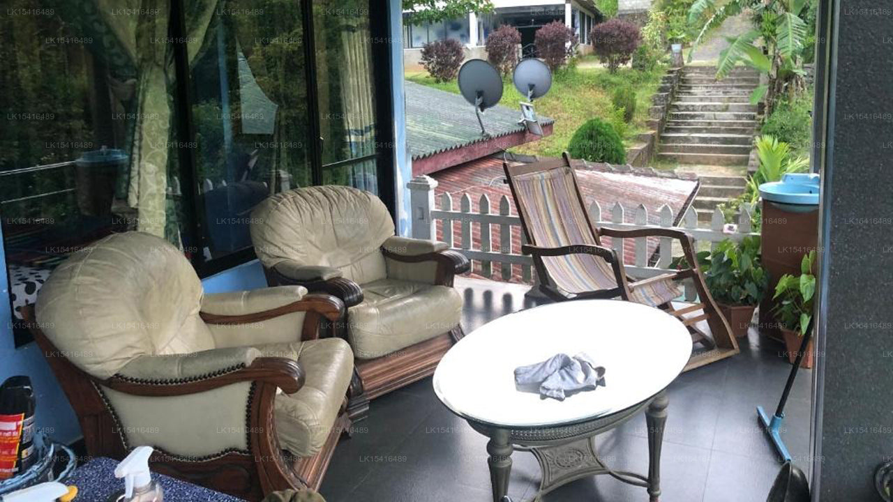 Hamadhi Guest, Haputale