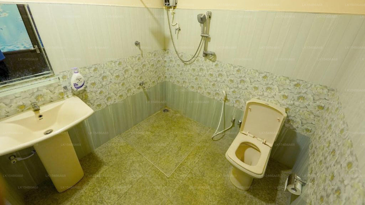 Sigiri Close-up View Guest, Sigiriya