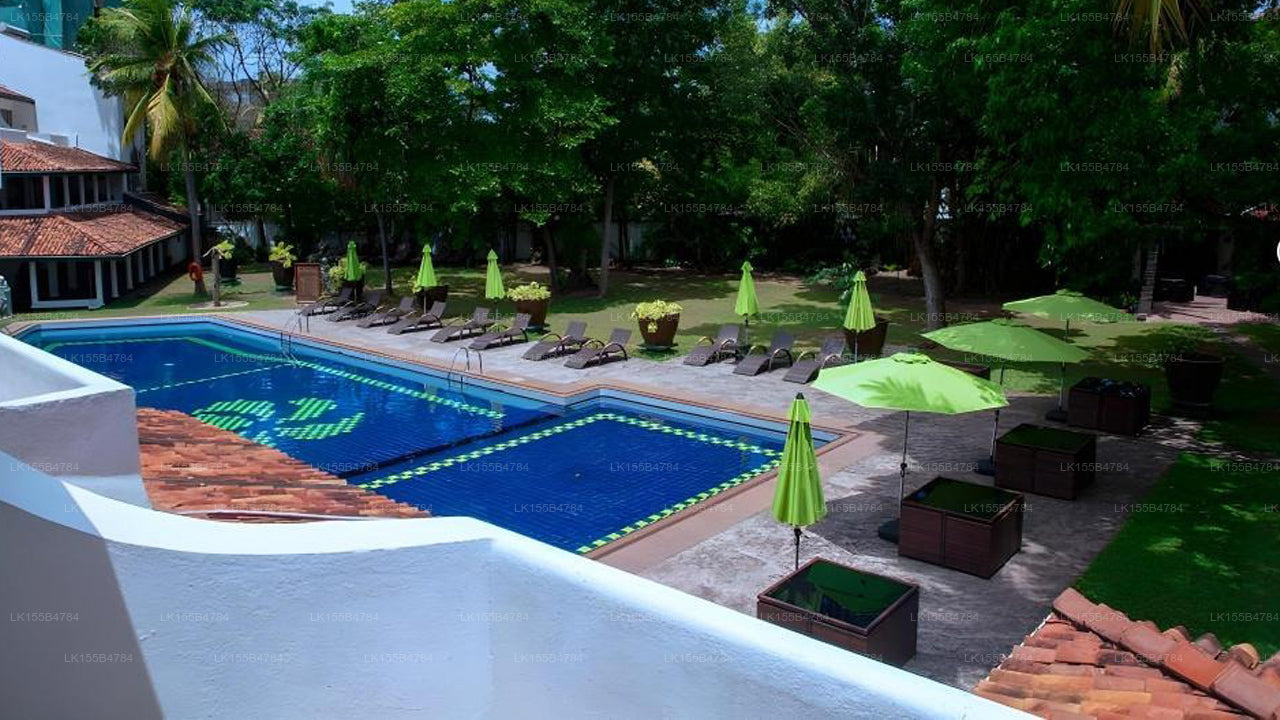 Palms, Mount Lavinia