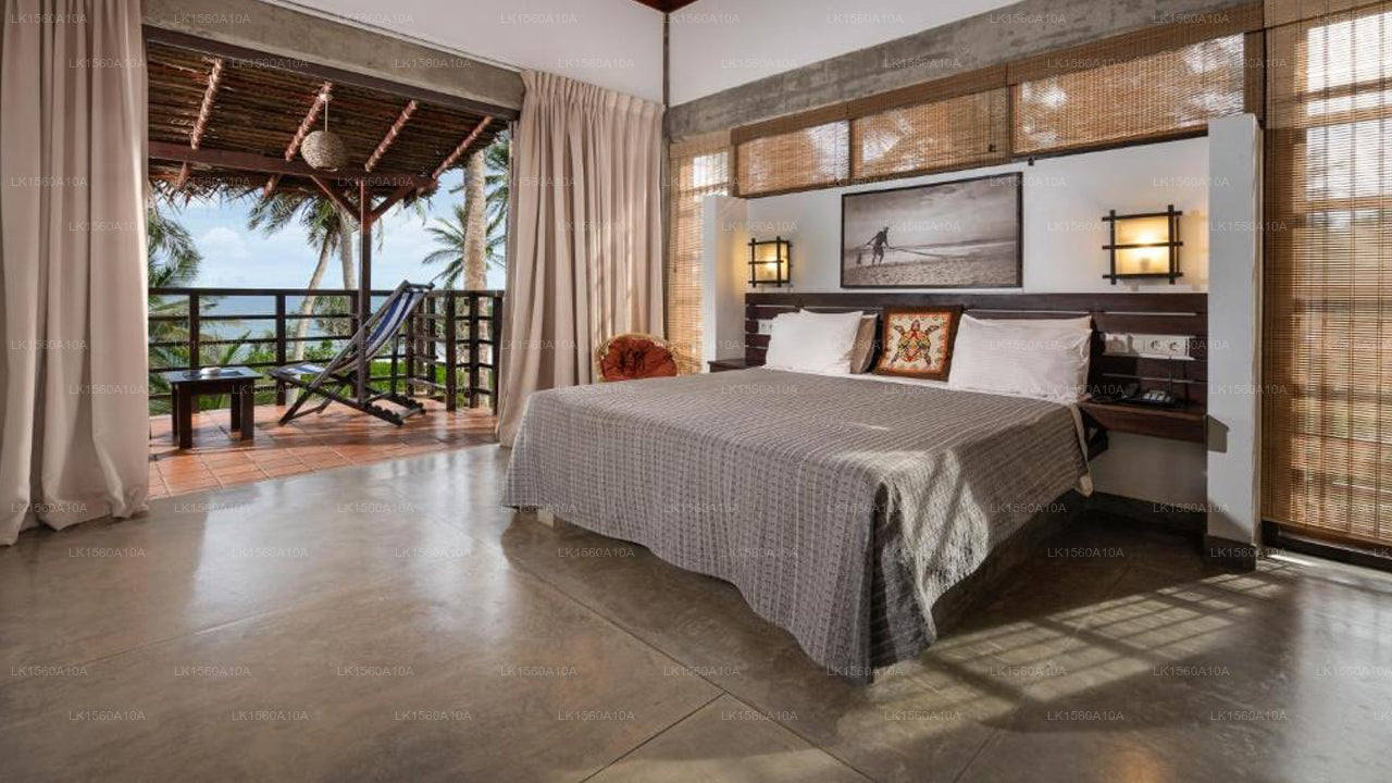 Seven Turtles, tangalla