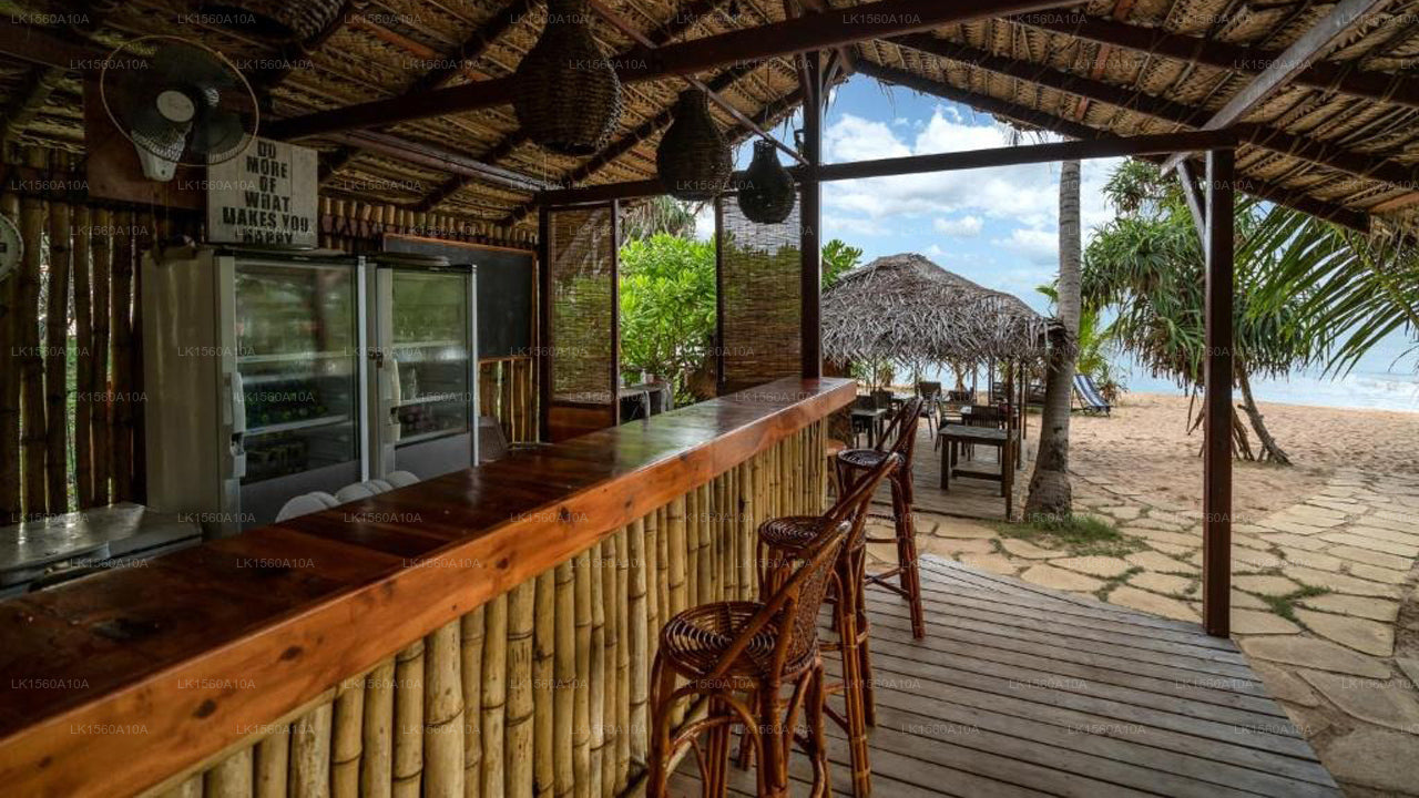 Seven Turtles, tangalla