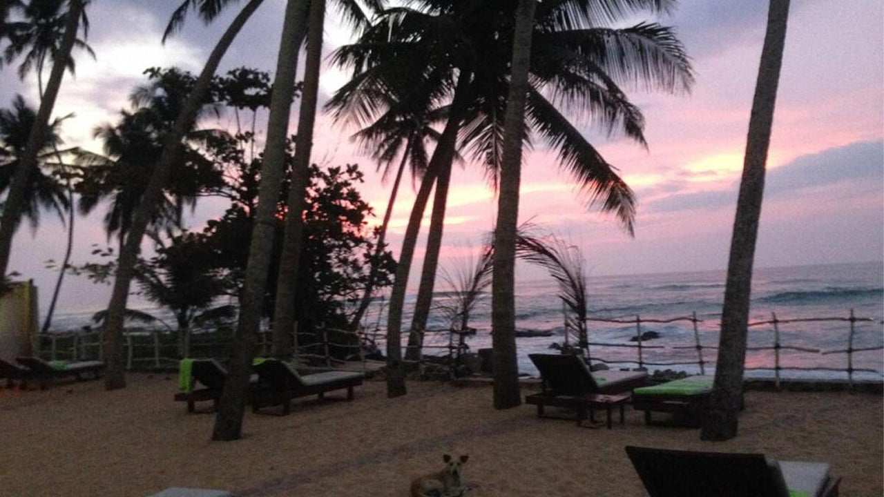 Butterfly villa, Hikkaduwa