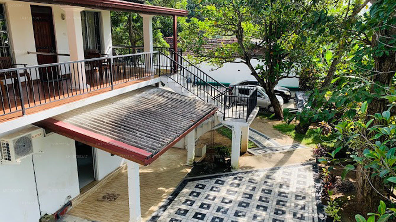 Man Guest, Polonnaruwa