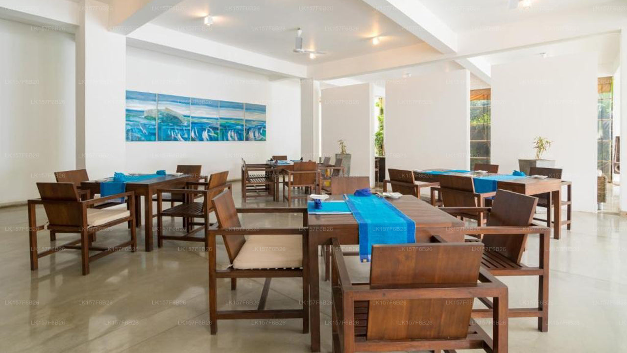 Roman Beach, Hikkaduwa