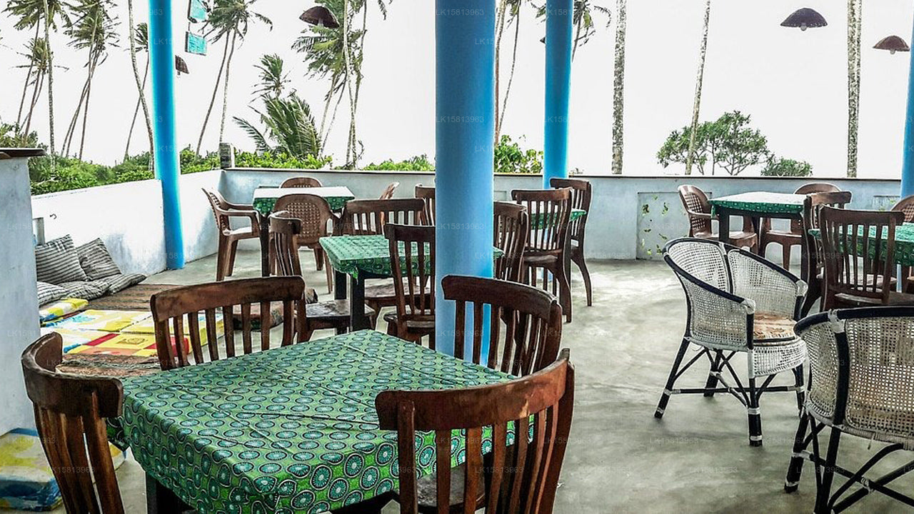 Coco Plant Surf Inn, Midigama