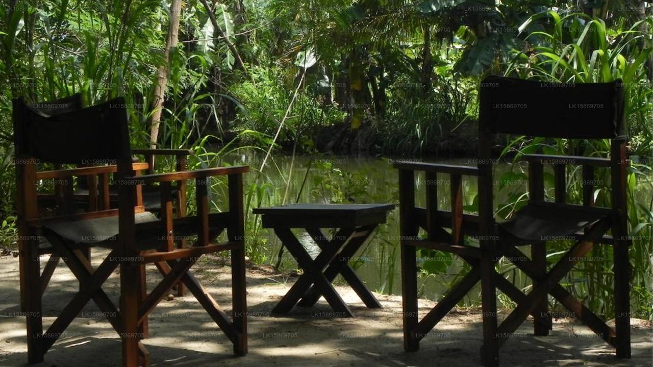 Makulu Safari Camping, Udawalawe