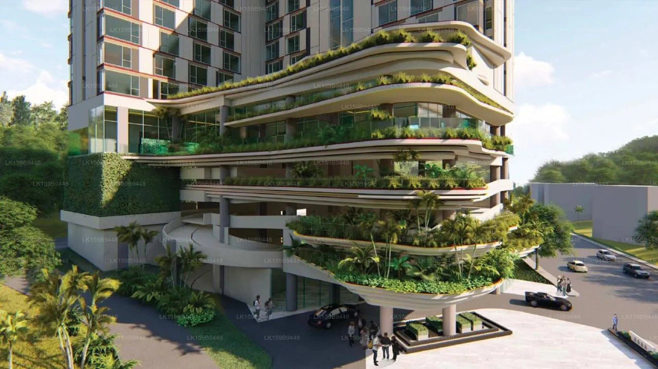 Kandy Myst by Cinnamon, Kandy