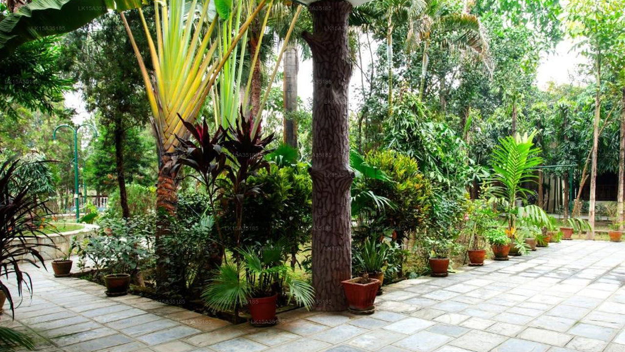 Way to Jungle Safari Resort, Udawalawe