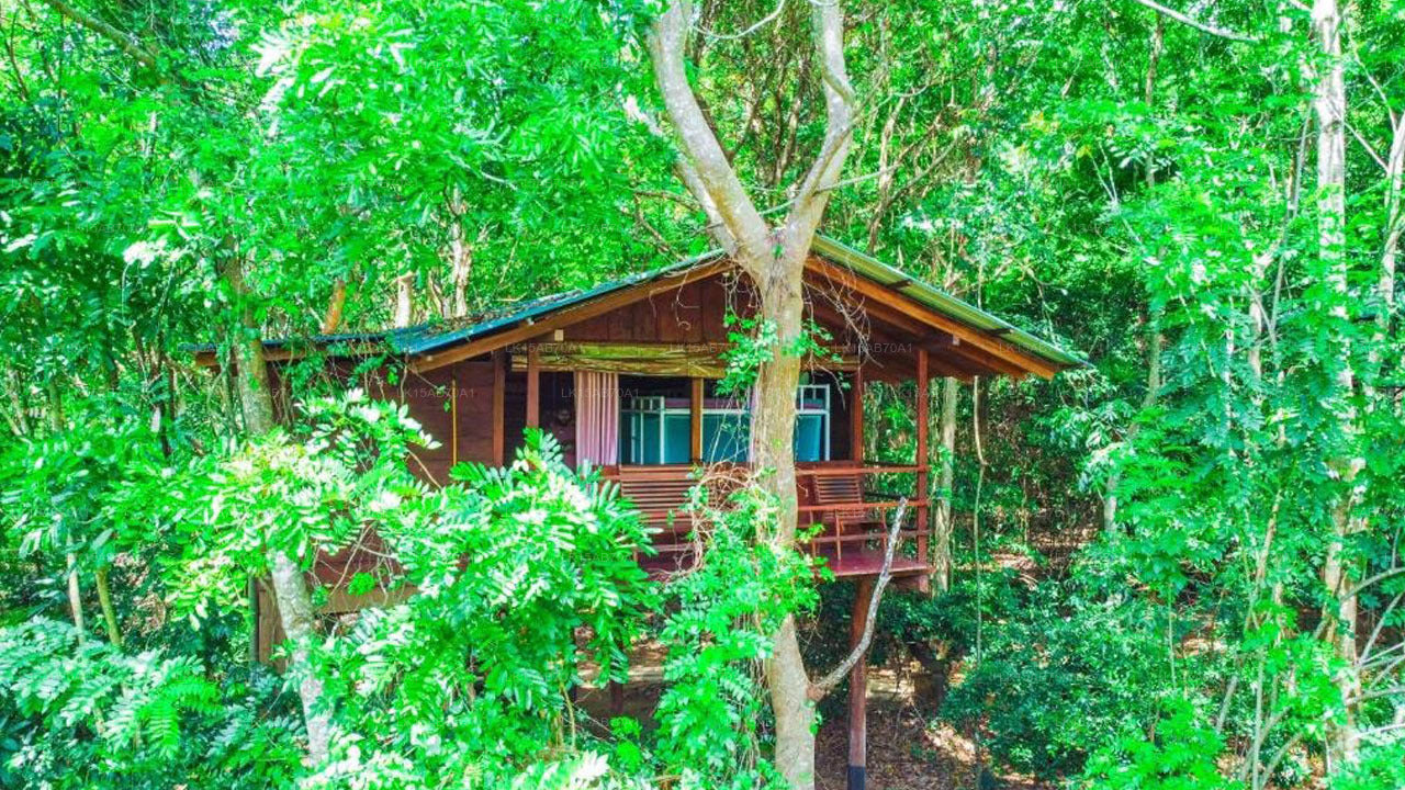 Jungle Host Hostel And Tree Housem, Sigiriya