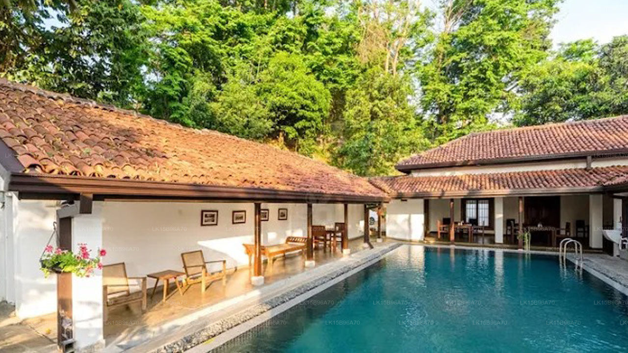 The Secret Kandy, Kandy