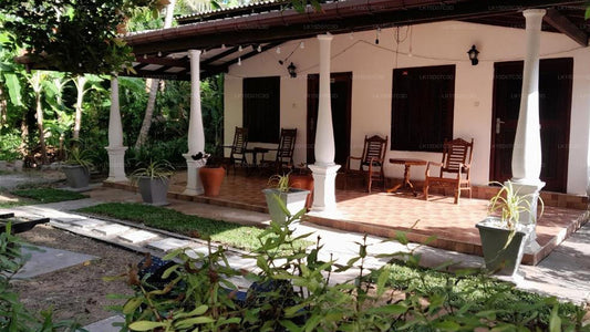 Banana Leaf Garden, Weligama