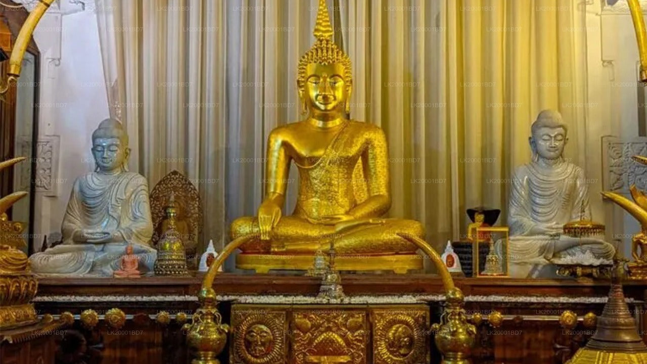 Temple of The Sacred Tooth Relic Guided tour with entrance tickets