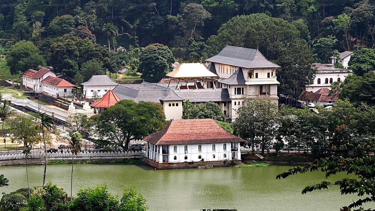 Temple of The Sacred Tooth Relic Guided tour with entrance tickets