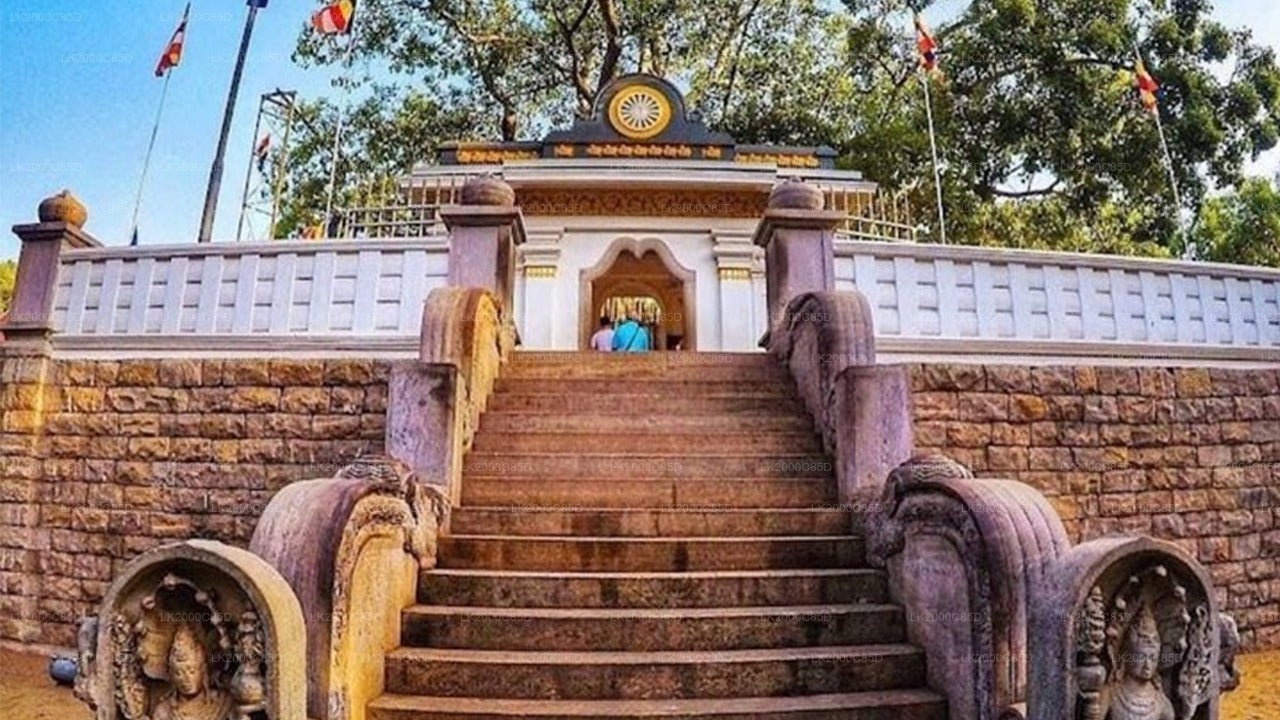 अनुराधापुरा पवित्र क्षेत्र का गाइडेड टूर, एंट्रेंस टिकट के साथ