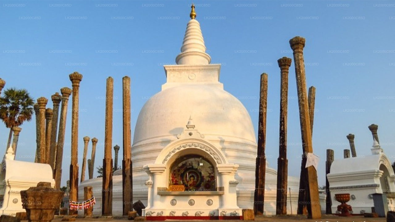 अनुराधापुरा पवित्र क्षेत्र का गाइडेड टूर, एंट्रेंस टिकट के साथ