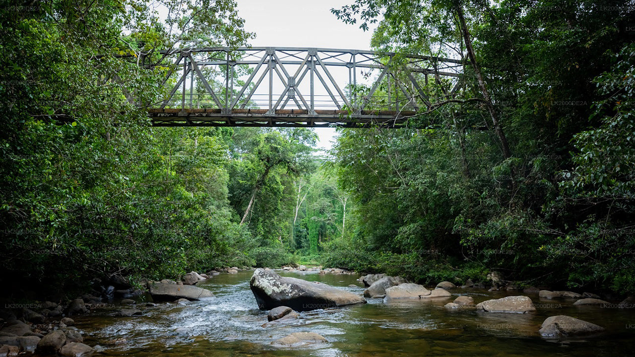 सिंहराजा फॉरेस्ट रिज़र्व गाइडेड टूर एंट्रेंस टिकट के साथ