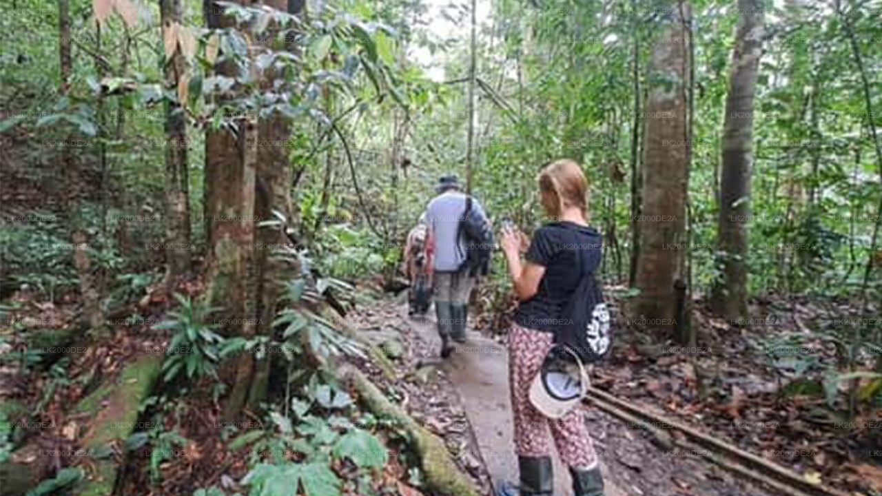 सिंहराजा फॉरेस्ट रिज़र्व गाइडेड टूर एंट्रेंस टिकट के साथ