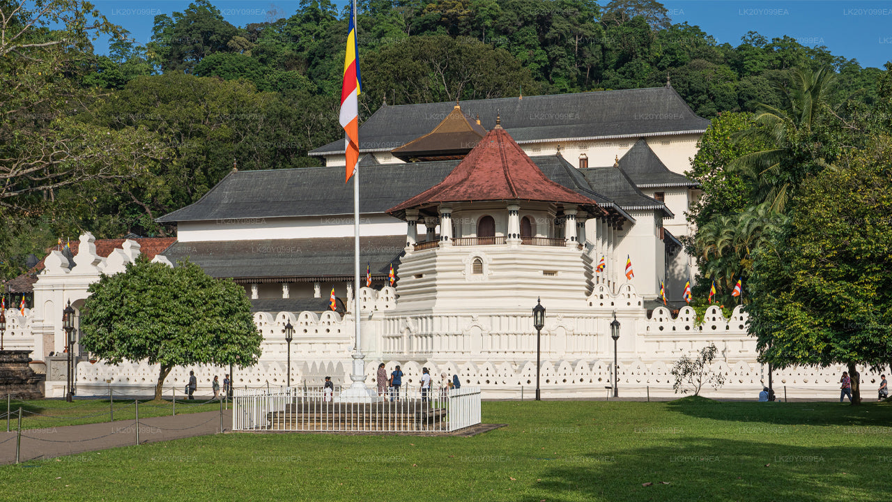 स्थानीय गाइड