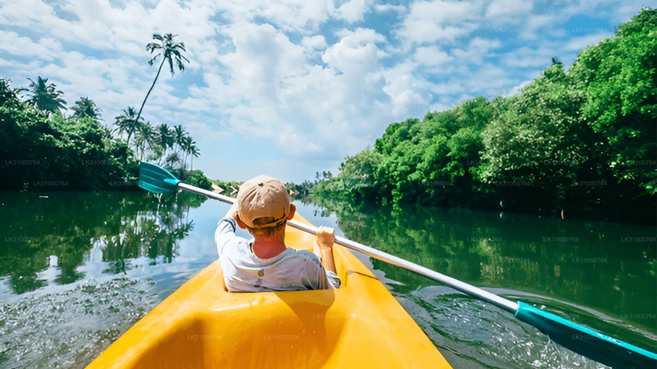 Person paddling a yellow kayak on a calm river with green trees and blue sky.
